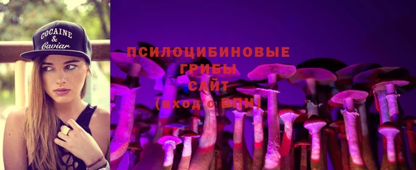 крисы Богородицк