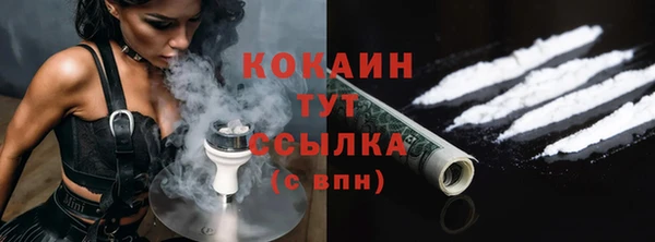 крисы Богородицк