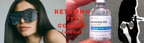 крисы Богородицк