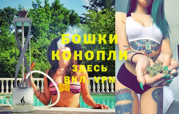 крисы Богородицк