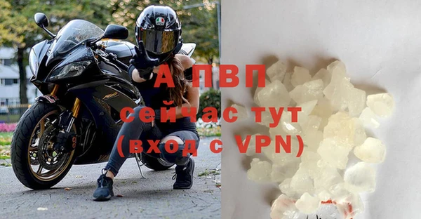 крисы Богородицк