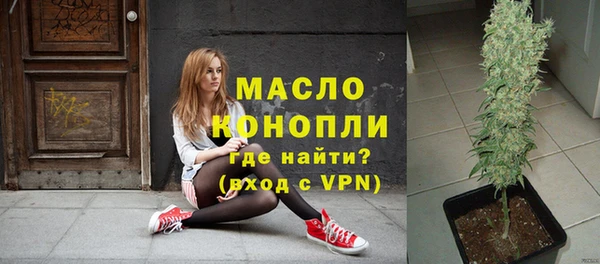 крисы Богородицк