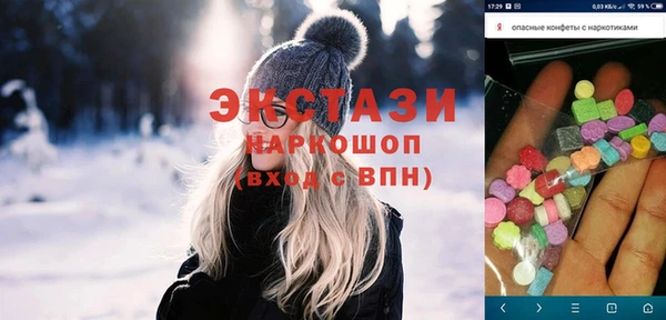крисы Богородицк