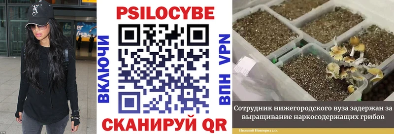 Псилоцибиновые грибы MAGIC MUSHROOMS  Костерёво 